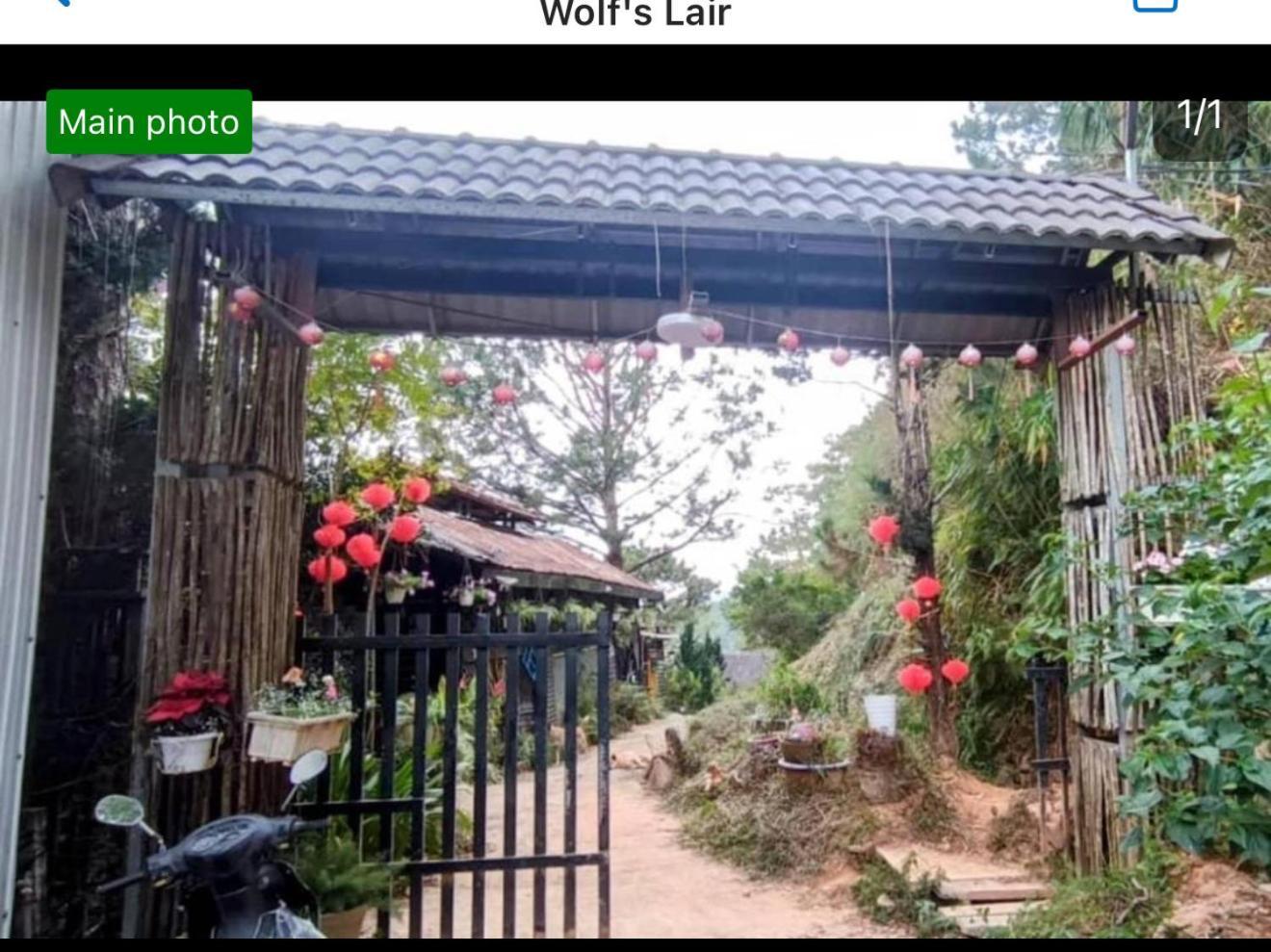 מלון דה לאט Wolf'S Lair מראה חיצוני תמונה