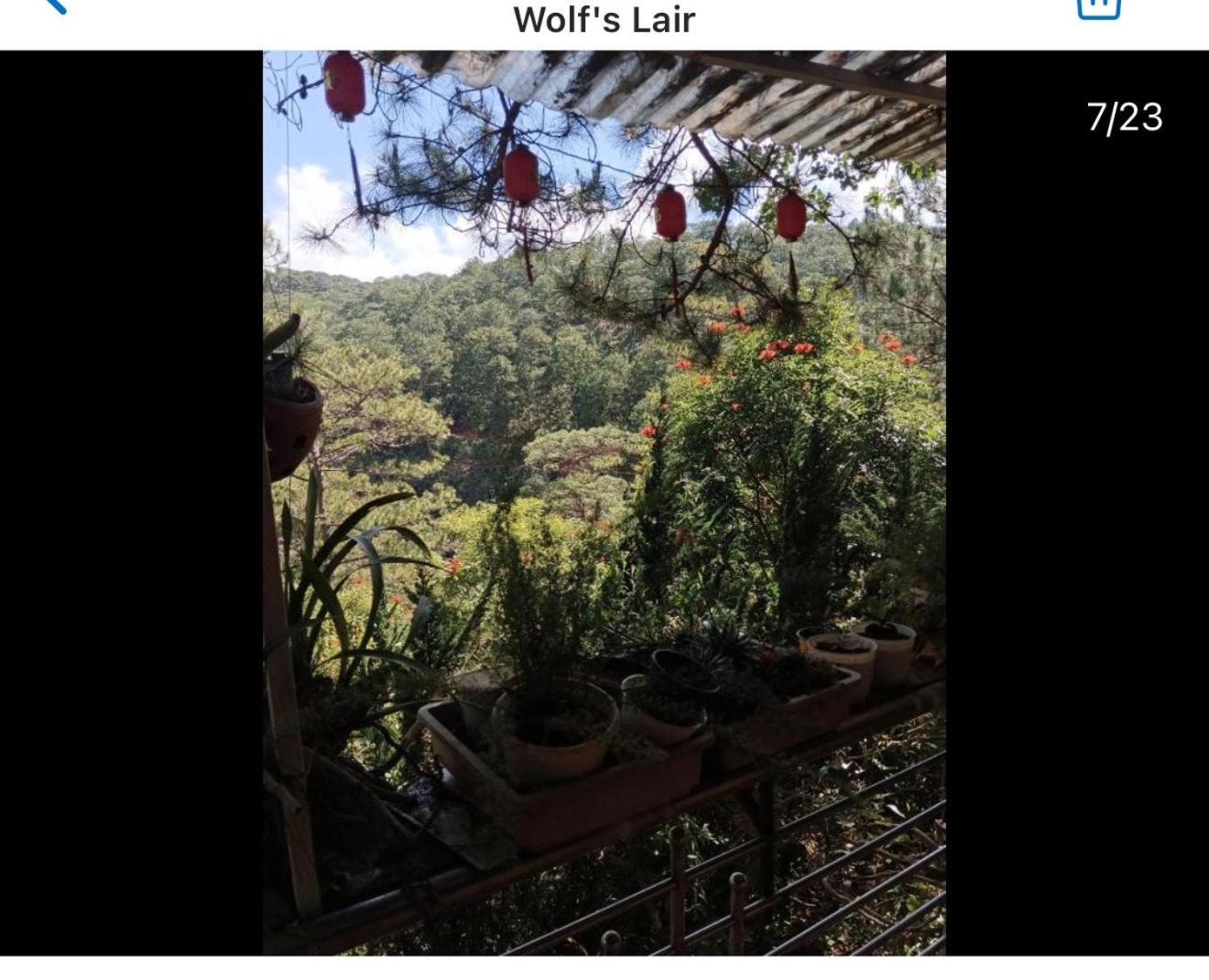 מלון דה לאט Wolf'S Lair מראה חיצוני תמונה