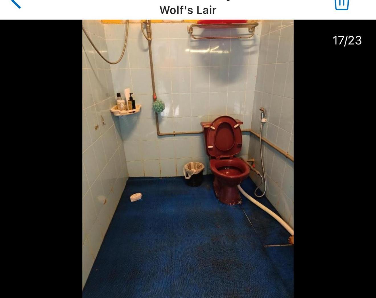 מלון דה לאט Wolf'S Lair מראה חיצוני תמונה
